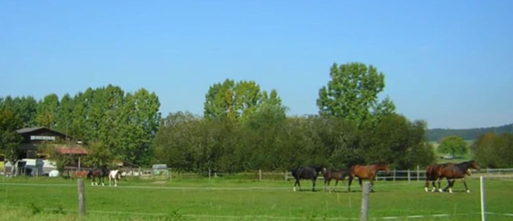 Horse Riding
