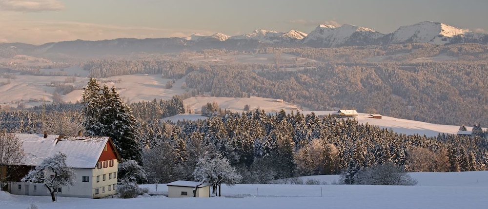 Land view from property