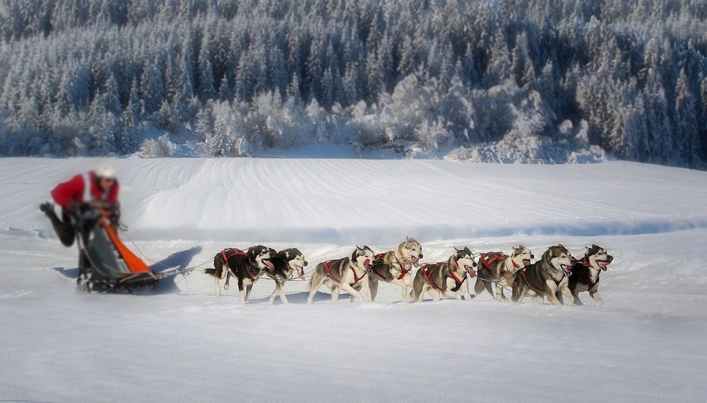 Snow and ski sports