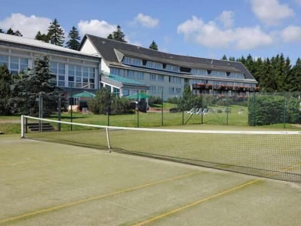 Tennis court