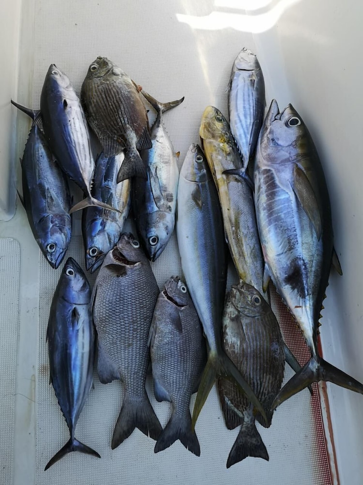 Fishing