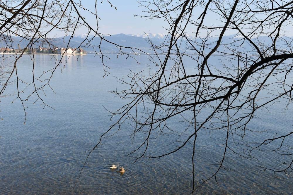 Lake