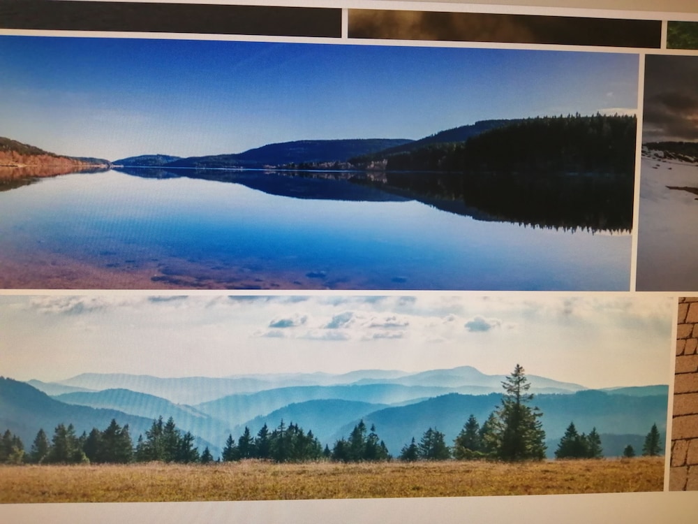 Land view from property