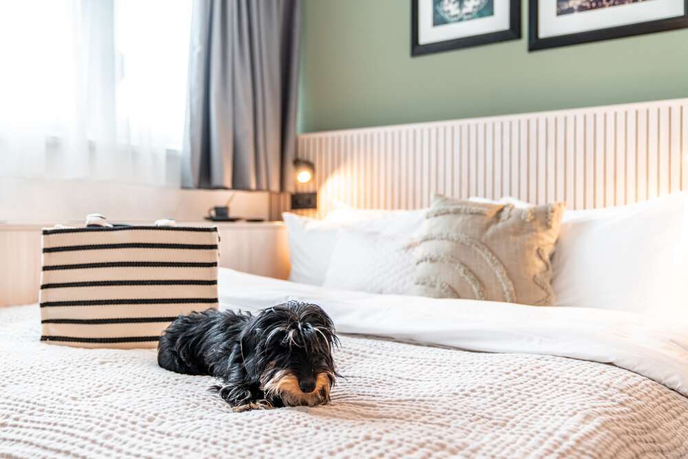 Double room S with pet