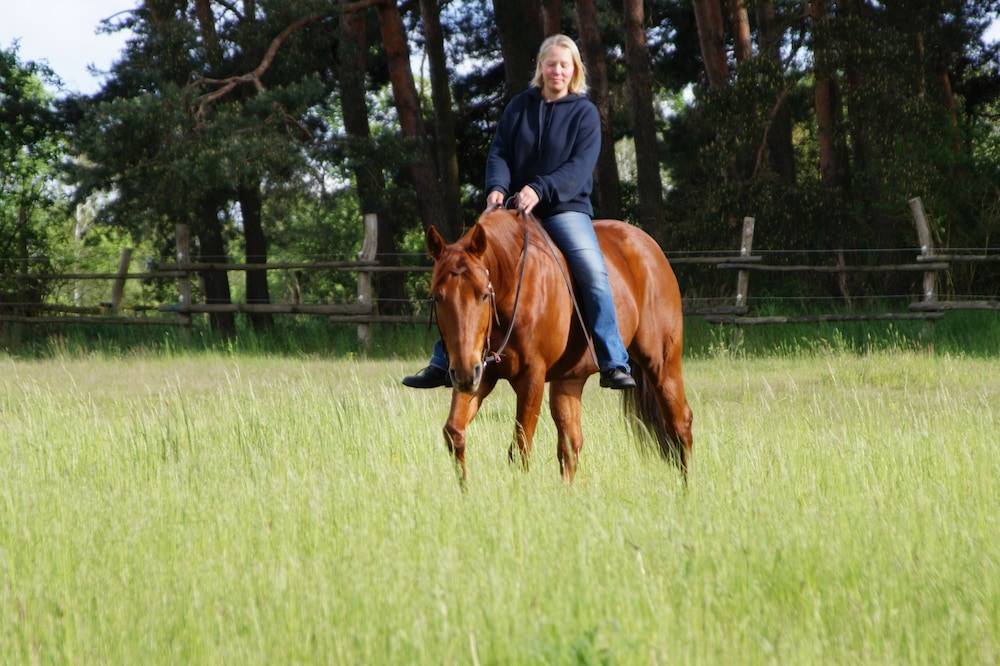 Horseback riding