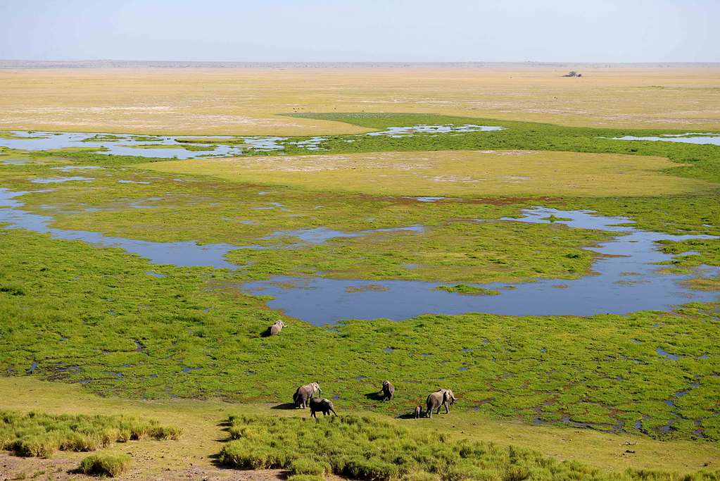 View of the Marsh from Obsrervation Hill