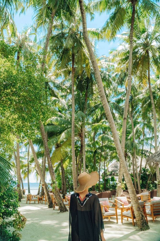 Beach bar