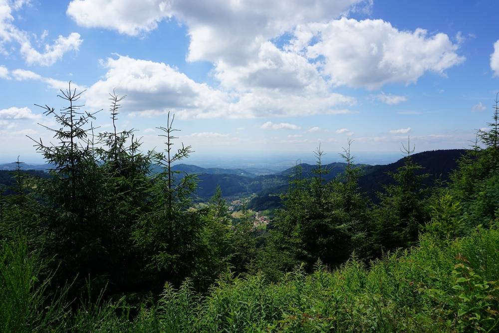 Hiking