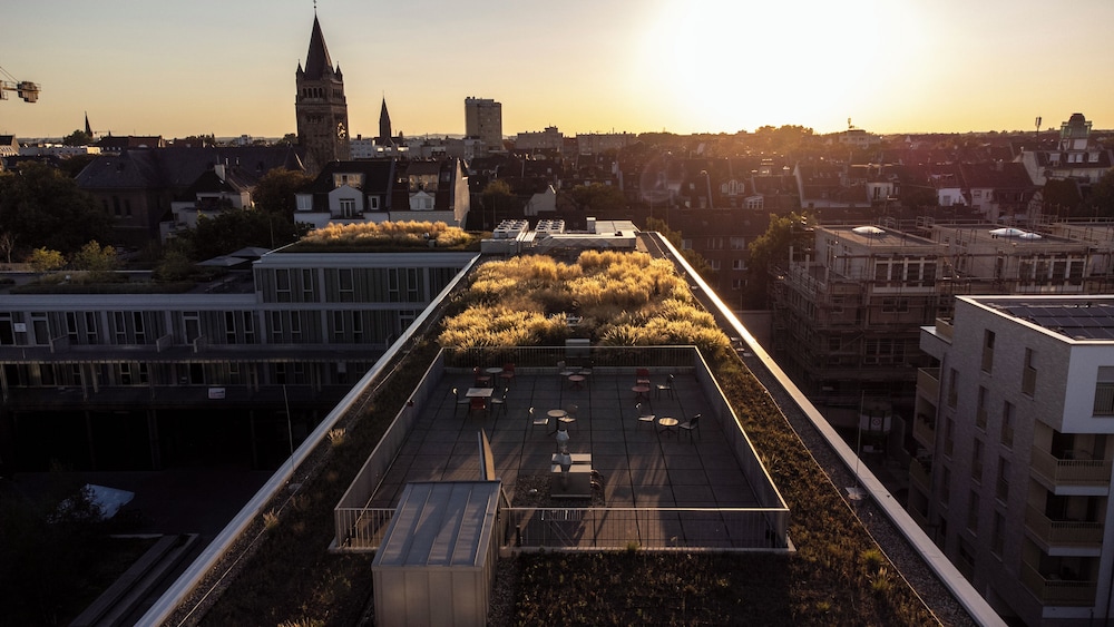 Rooftop terrace