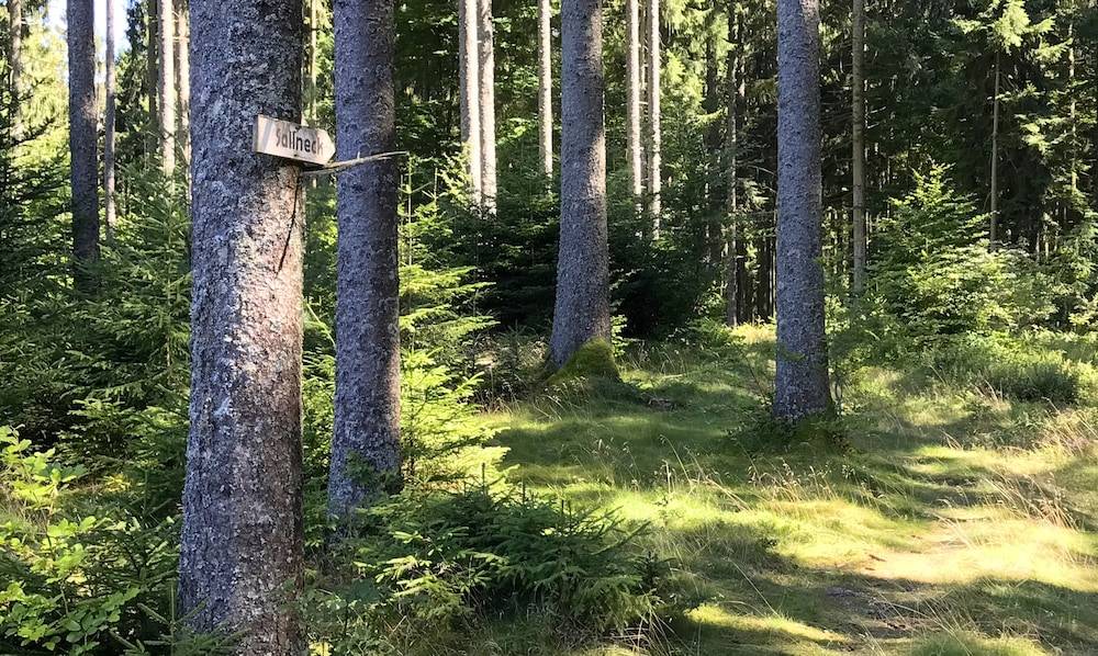 Hiking