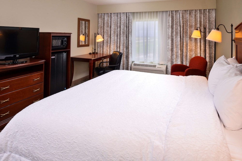 Hampton Inn by Hilton Litchfield - photo 4