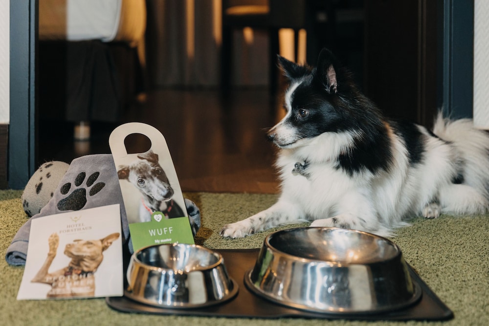 Pet-friendly amenities