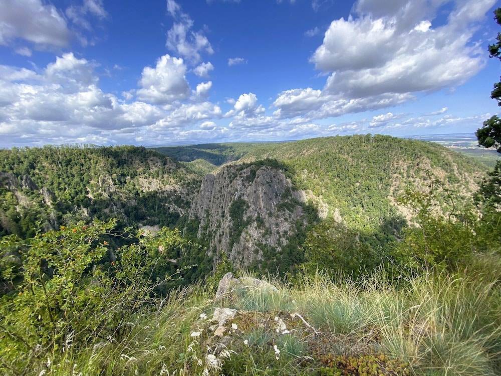 Hiking