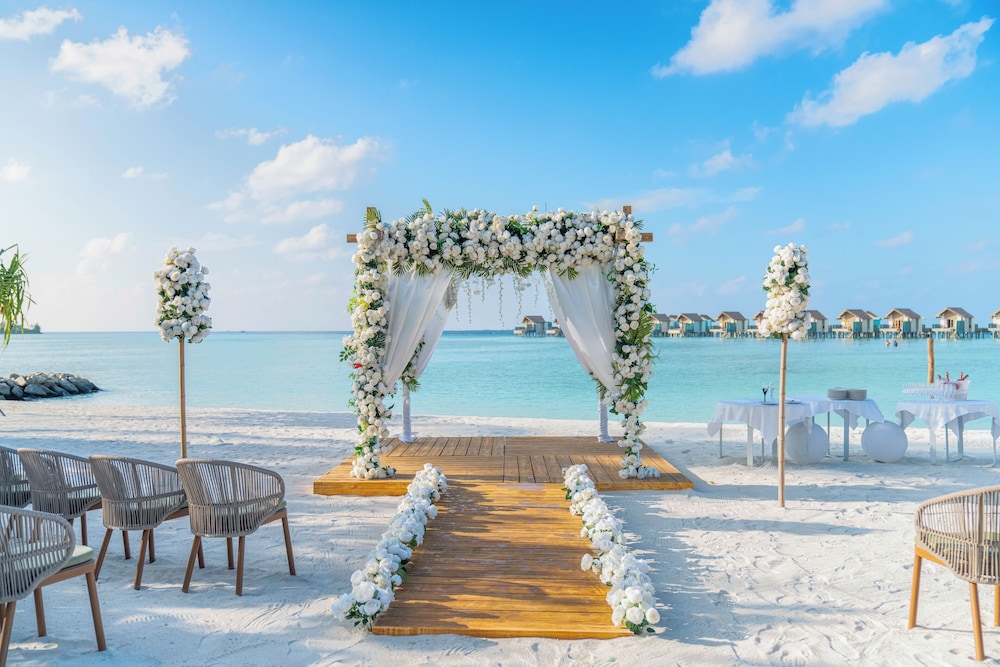 Outdoor wedding area