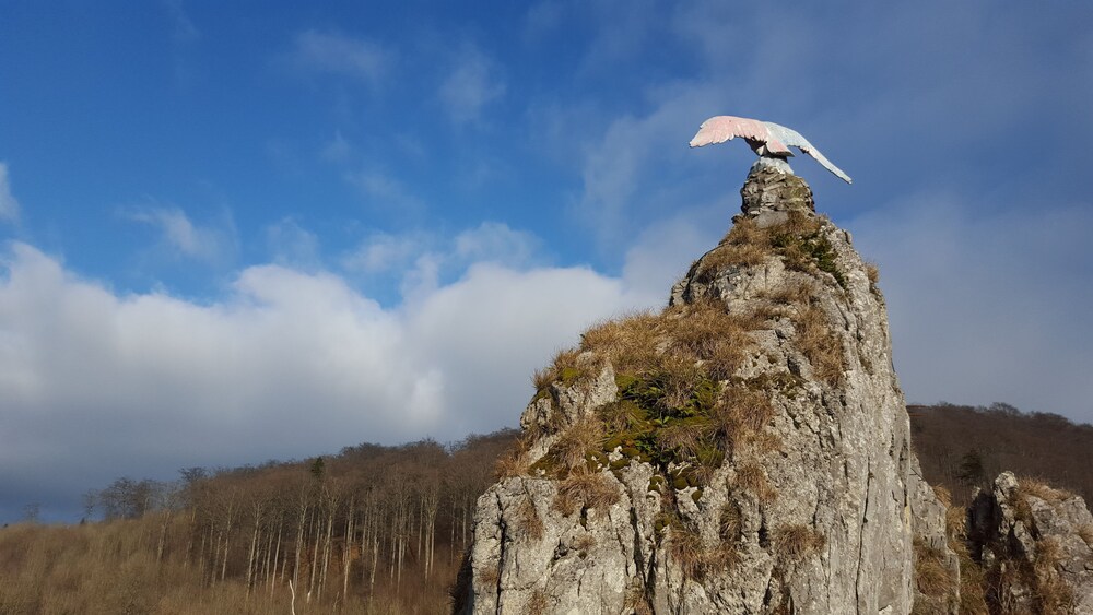 Hiking