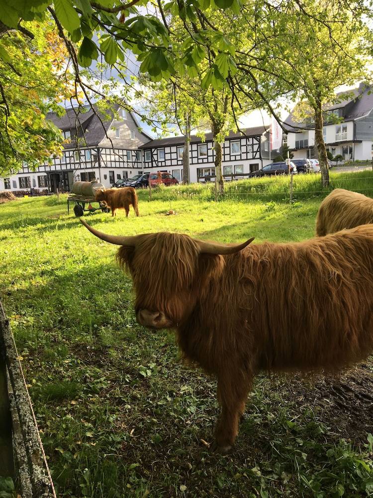 Landgasthof Gilsbach