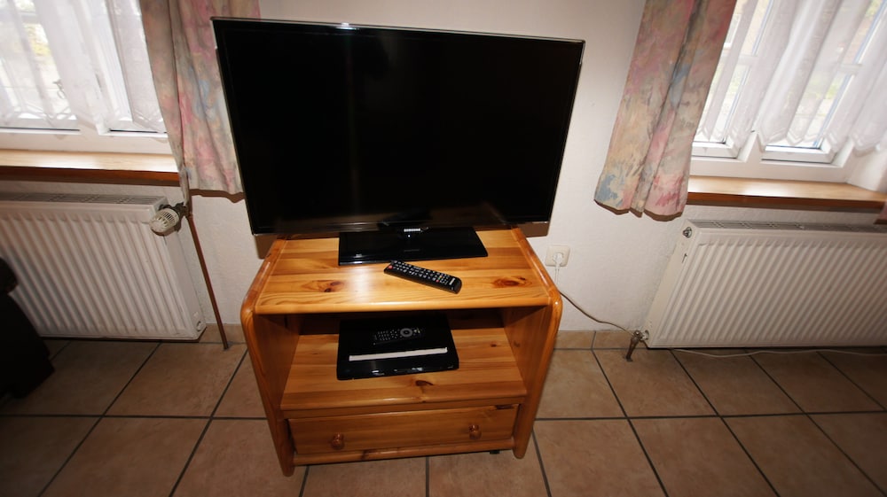 Television