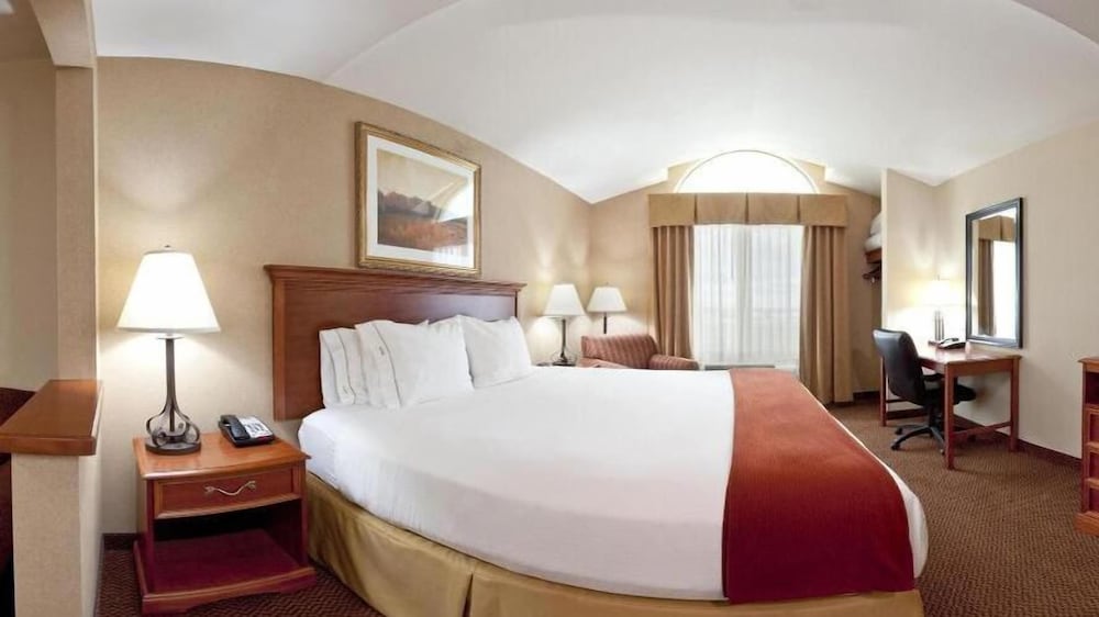 Holiday Inn Express & Suites Sheldon an IHG Hotel - photo 4
