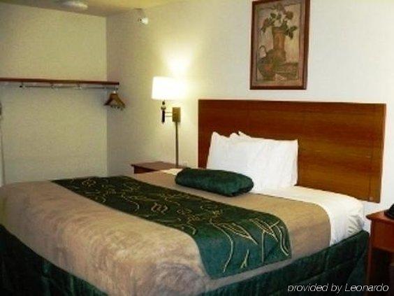 Oak Tree Inn Livonia West - photo 5