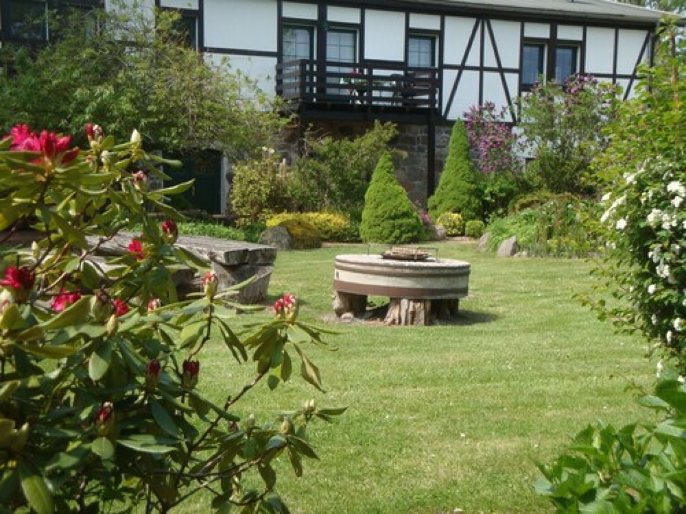 Garden view