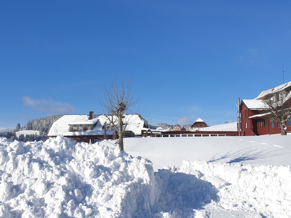 Snowshoeing