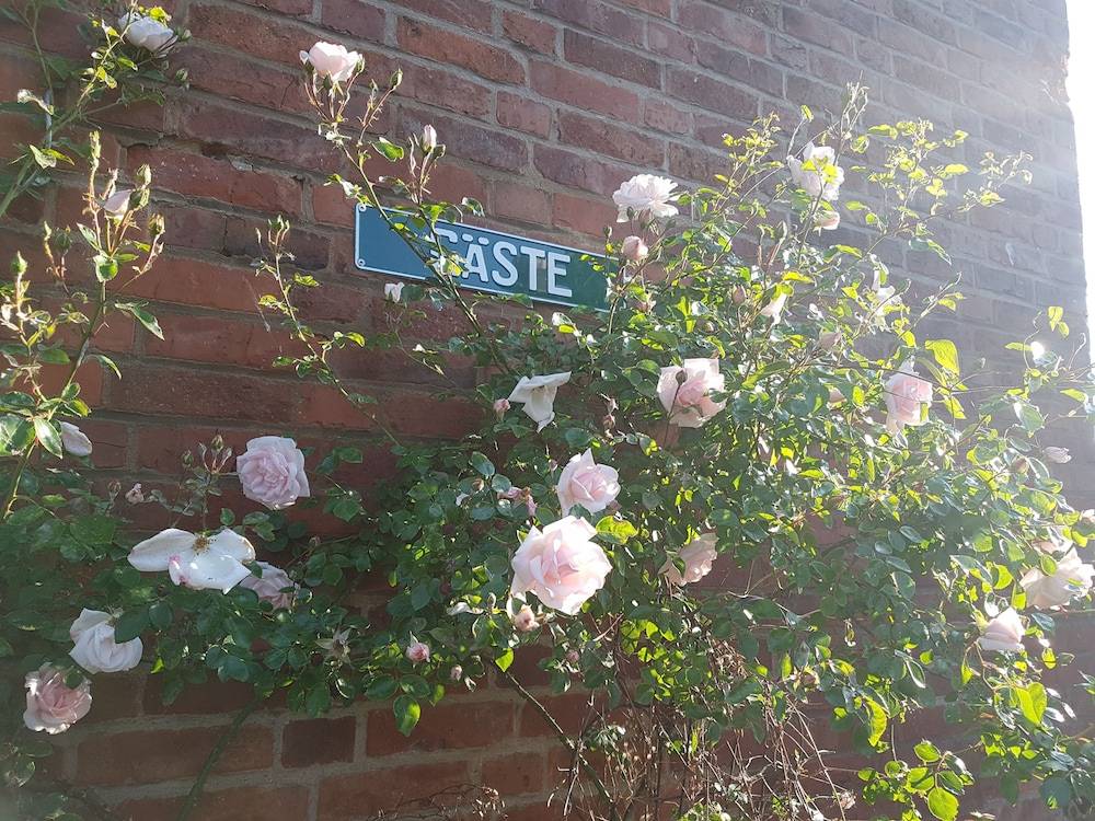 Eternahof