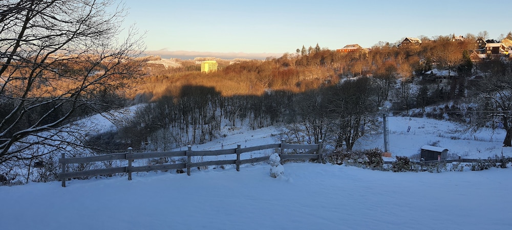 Sledding