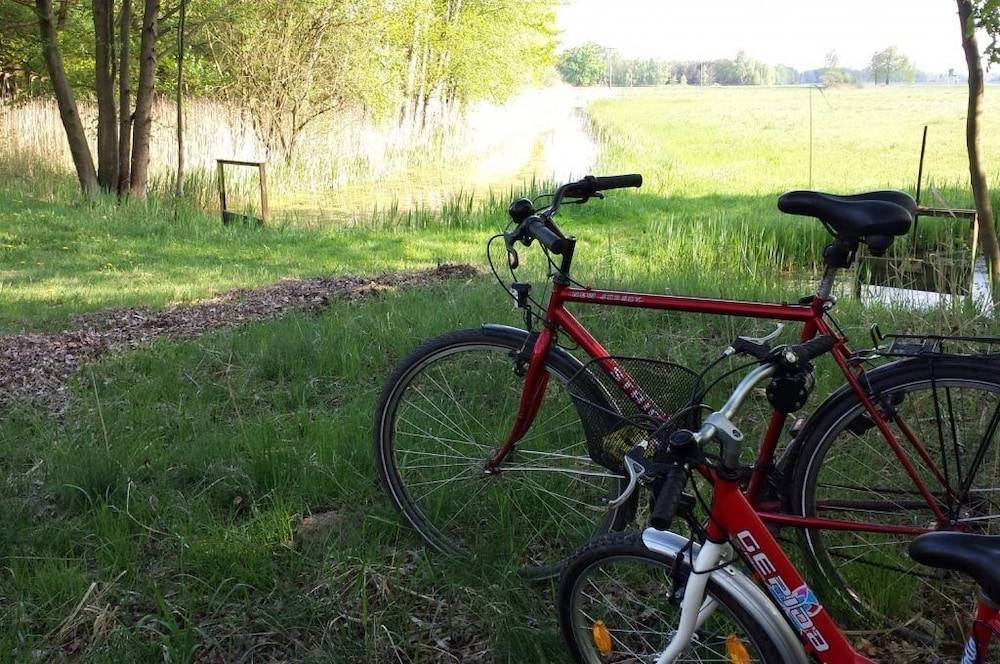 Bicycling