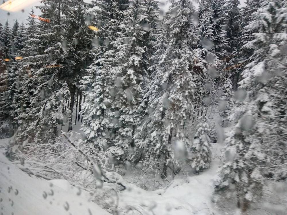 Snowshoeing
