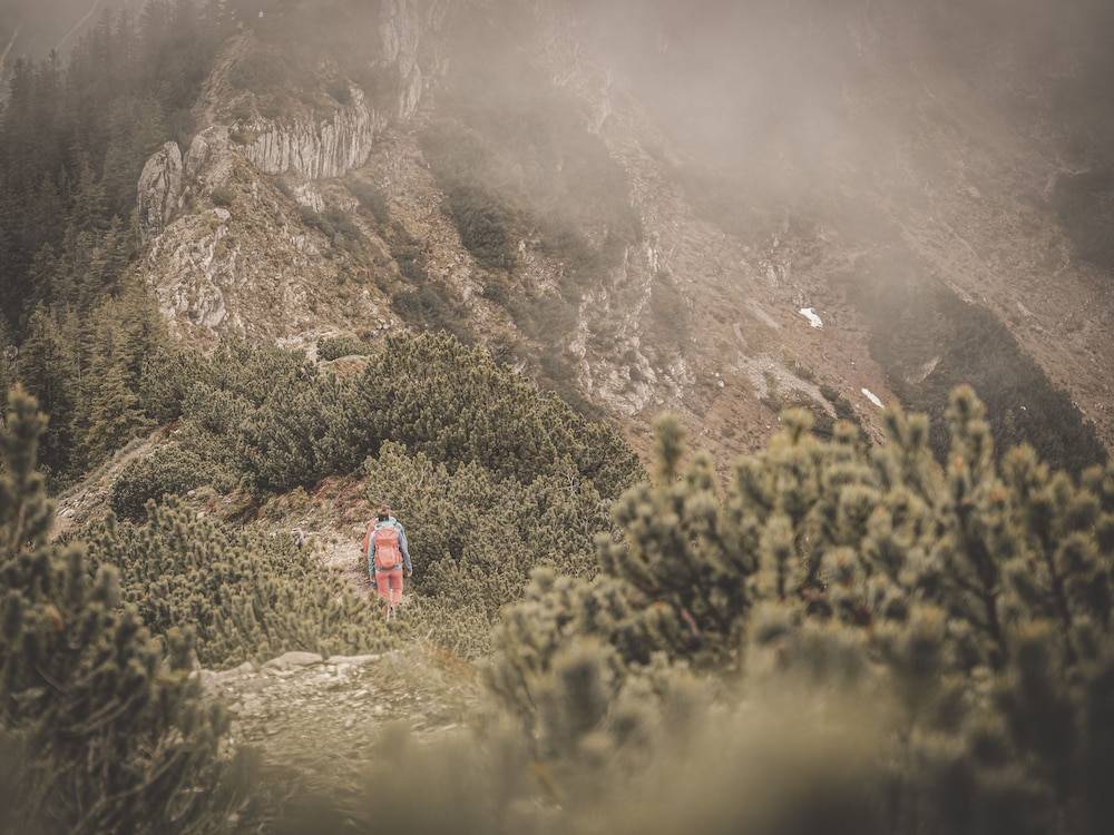 Hiking