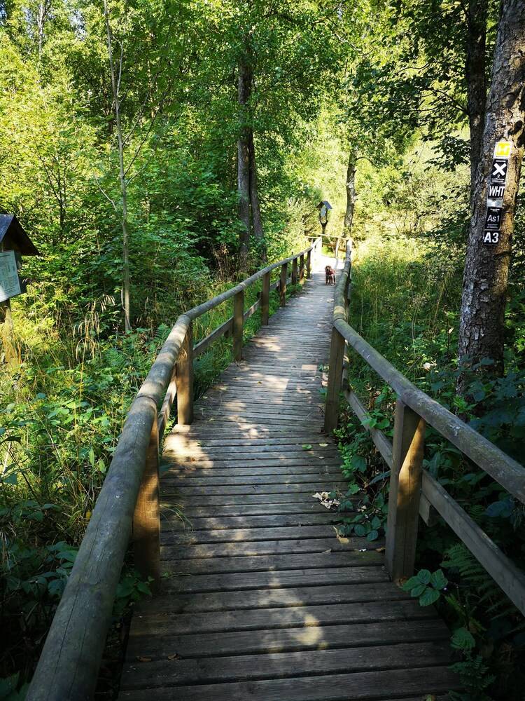 Hiking