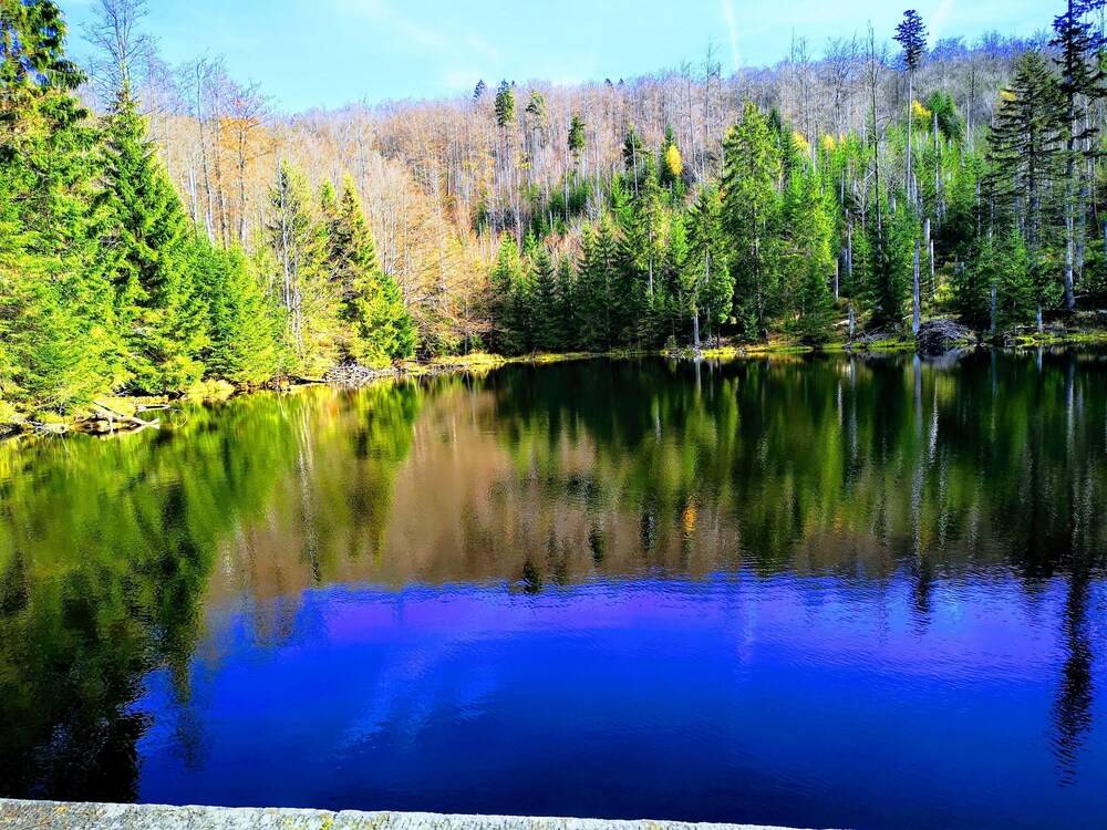 Hiking