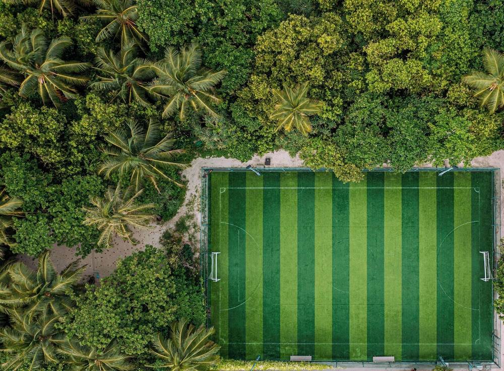 Tennis court