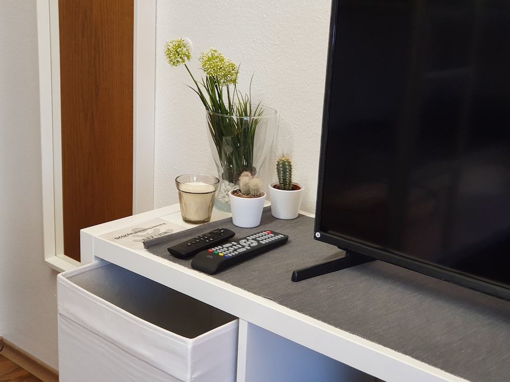 Television