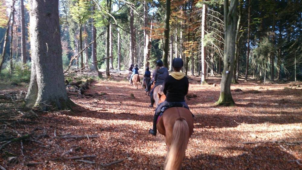 Horseback riding
