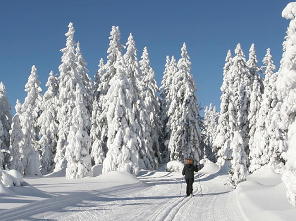 Snowshoeing