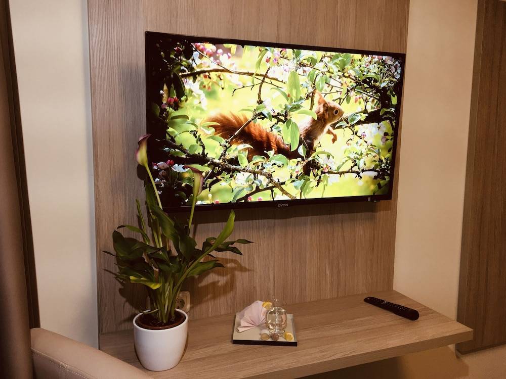 Television
