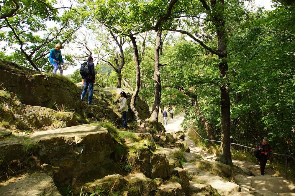 Hiking