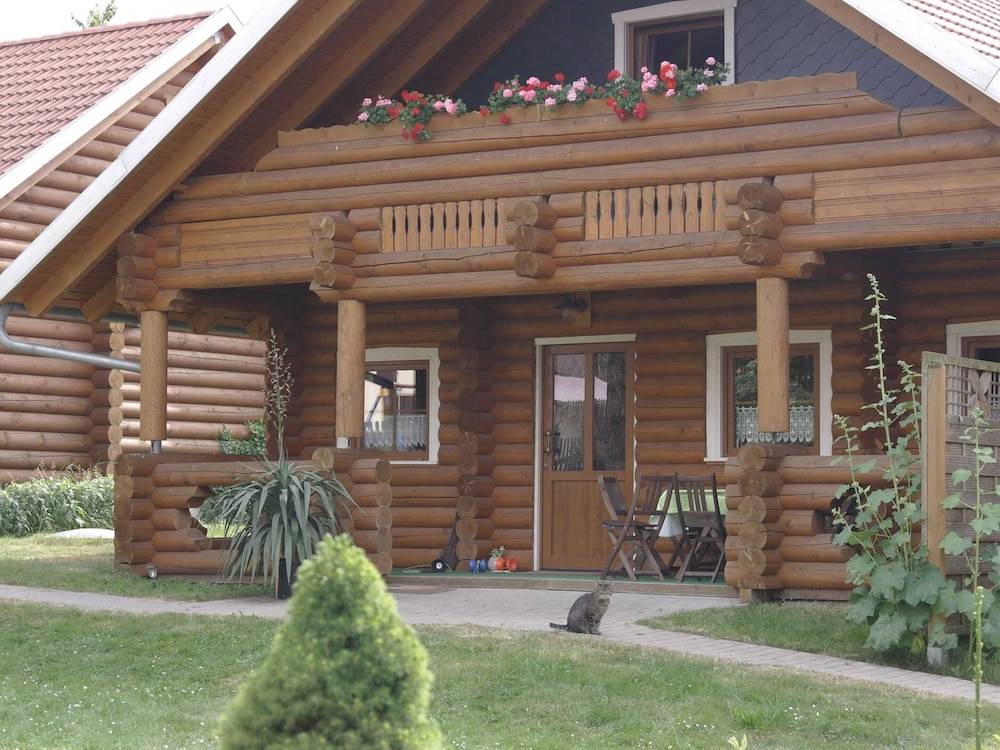 Primary image