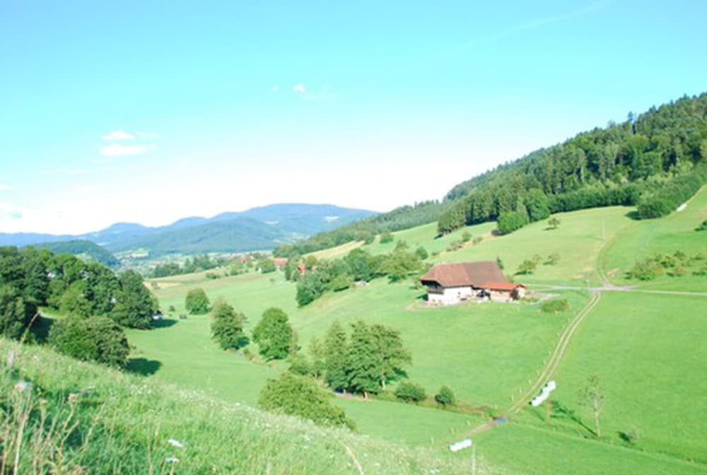 Mountain view