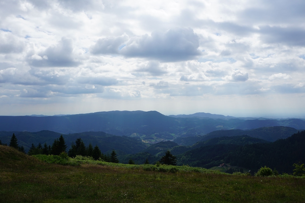 Hiking