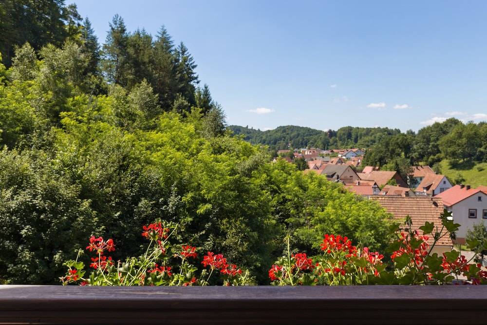 View from room