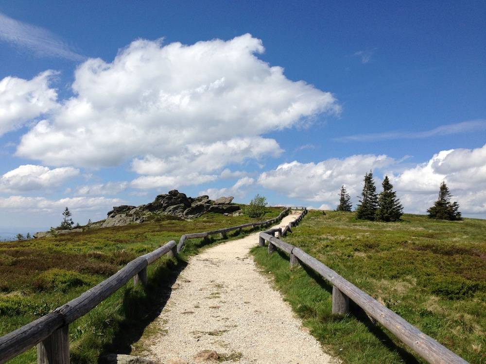 Hiking
