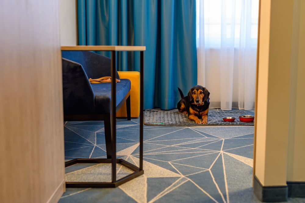 Pet-friendly