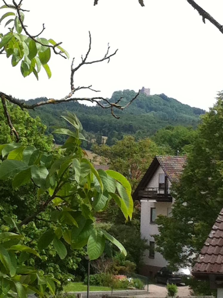 Land view from property