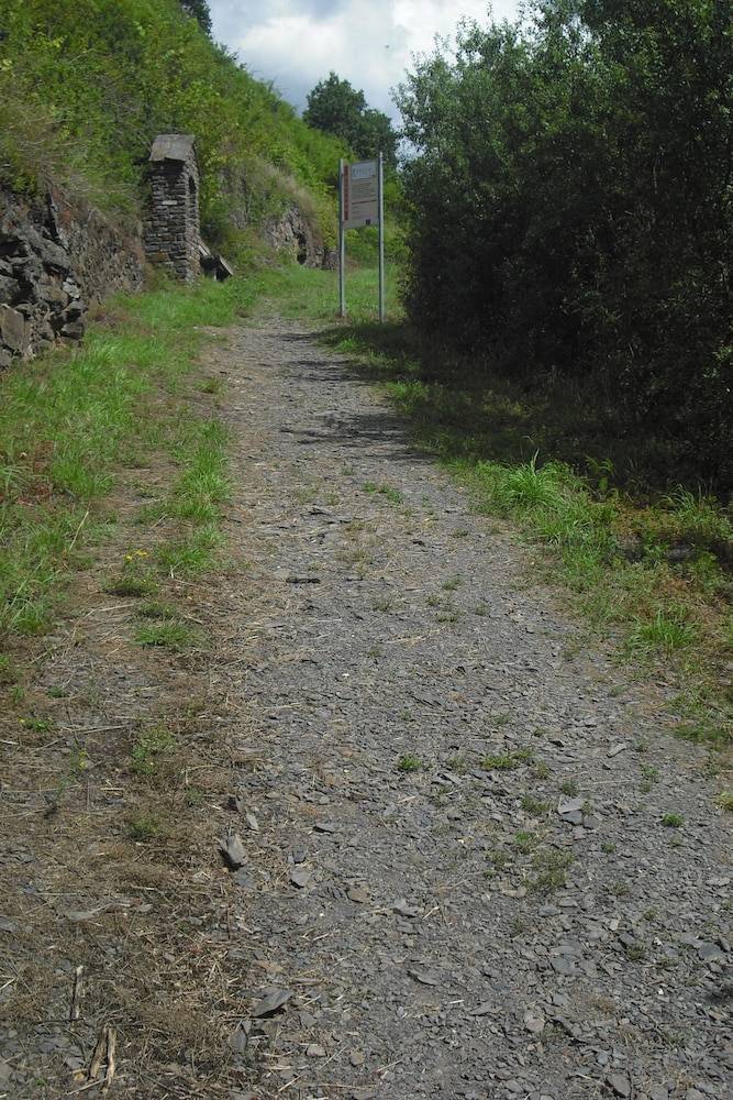 Hiking