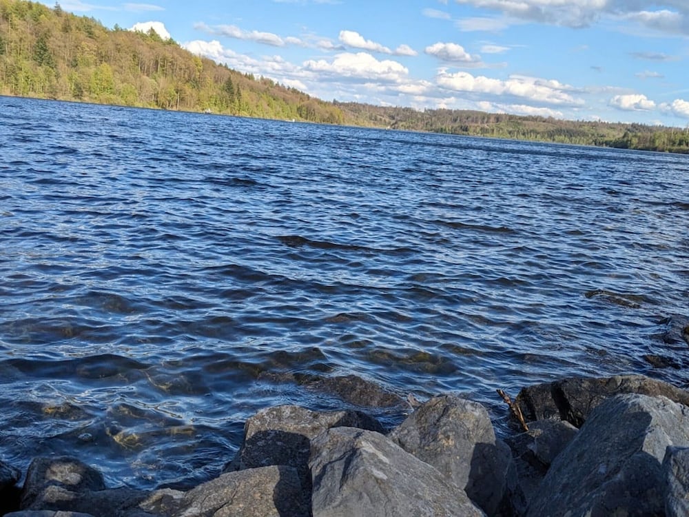 View from property
