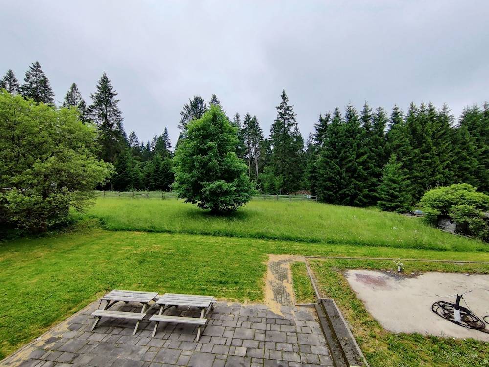 Spacious semi detached house with wood stove located directly on the Rennsteig