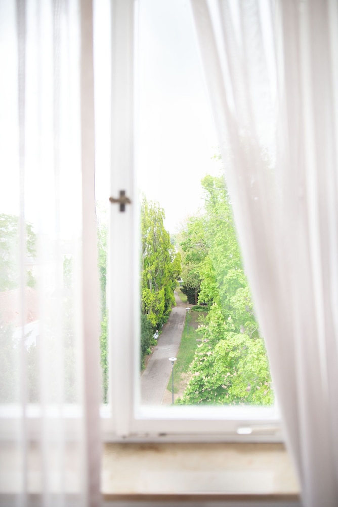 Land view from property