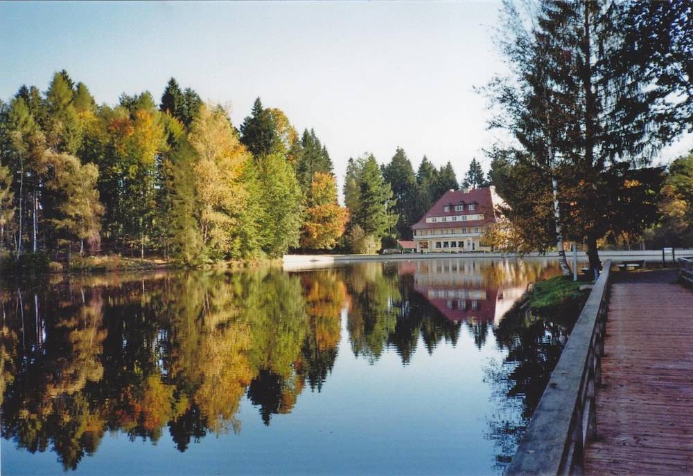 Lake